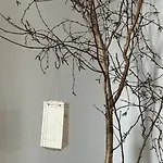Daire Historisch Smukkegard Im Modernen Ambiente Mit Balkon Nahe St Peter Ording Und Der Nordsee